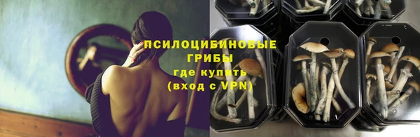mix Гусиноозёрск