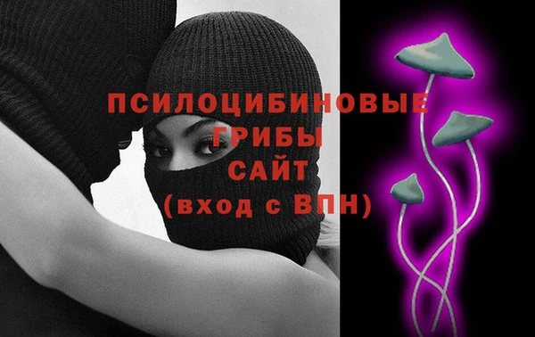 ГАЛЛЮЦИНОГЕННЫЕ ГРИБЫ Вязьма